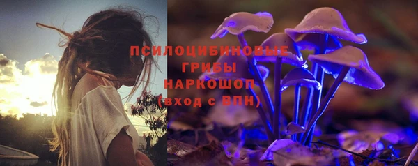 амф Заволжье