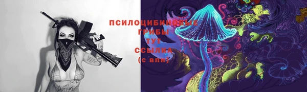 spice Елизово
